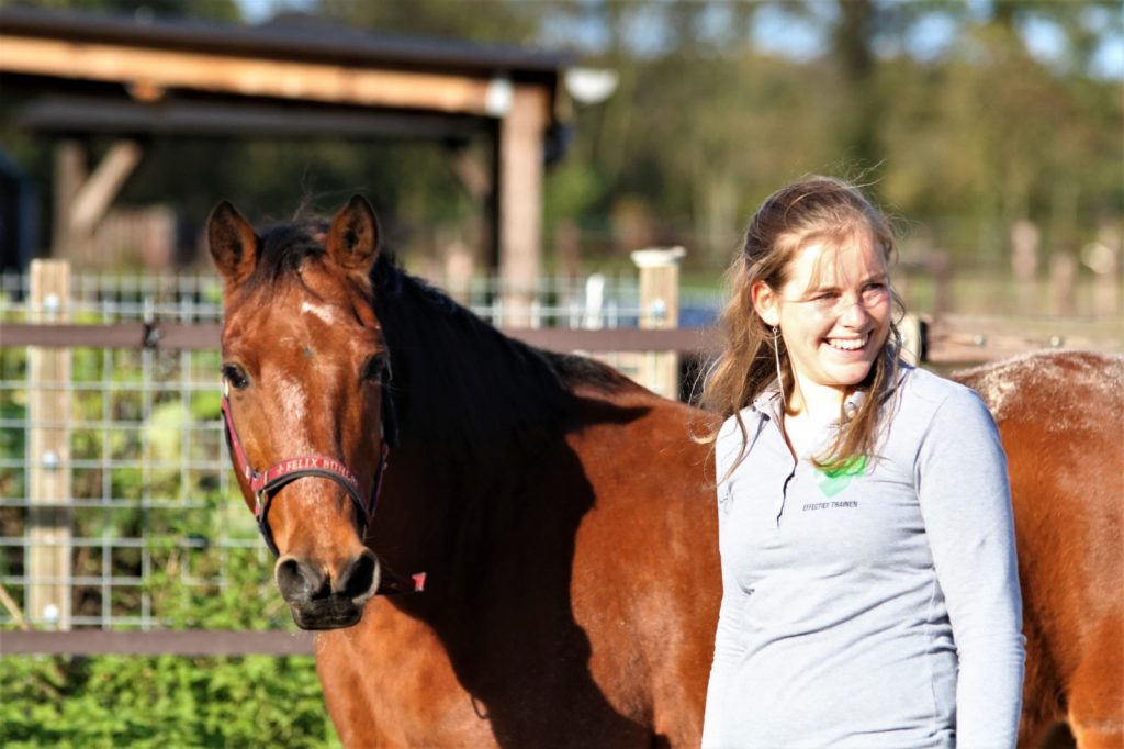 Paard in training - op laten leiden met positieve bekrachtiging