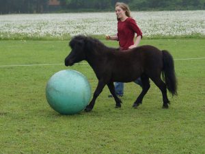 voetballen met pony